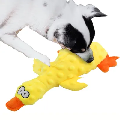 CoolPetGear Jouet apaisant pour chien - En peluche