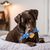 CoolPetGear Jouet pour chien - En peluche, interactif