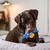 CoolPetGear Jouet pour chien - En peluche, interactif