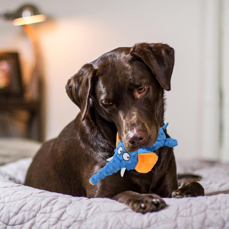 CoolPetGear Jouet pour chien - En peluche, interactif