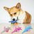 CoolPetGear Jouet pour chien - En peluche, interactif