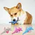 CoolPetGear Jouet pour chien - En peluche, interactif