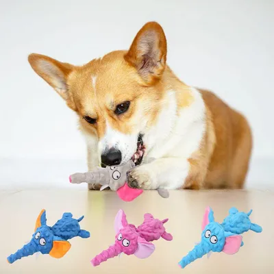 CoolPetGear Hundespielzeug – Plüsch, interaktiv