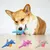 CoolPetGear Hundespielzeug – Plüsch, interaktiv