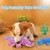 CoolPetGear Plüsch- und Quietschspielzeug für Hunde