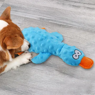 CoolPetGear Beruhigendes Hundespielzeug – Plüsch
