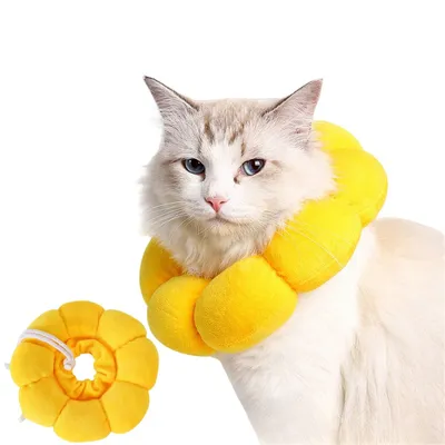 MCBOSON  Collier anti léchage pour chat