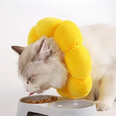 MCBOSON  Collier anti léchage pour chat