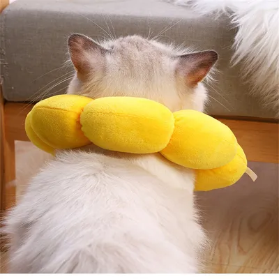 MCBOSON  Collier anti léchage pour chat