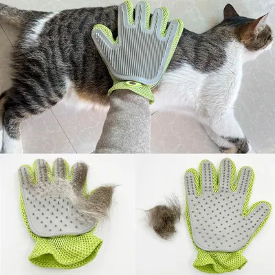 Gant de toilettage 2 en 1 pour chiens et chats
