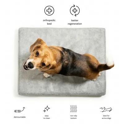 Rexproduct Ori matelas orthopédique imperméable  vert foncé