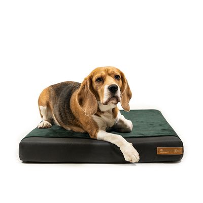 Rexproduct Ori matelas orthopédique imperméable  vert foncé