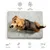 Rexproduct Ori matelas orthopédique imperméable vert foncé Rexproduct Ori matelas orthopédique imperméable vert foncé