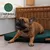 Rexproduct Ori matelas orthopédique imperméable vert foncé Rexproduct Ori matelas orthopédique imperméable vert foncé