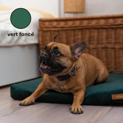 Rexproduct Ori matelas orthopédique imperméable vert foncé Rexproduct Ori matelas orthopédique imperméable vert foncé