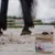 HORSE MASTER - ULTRA REINES CHONDROITINSULFAT - HORSE MASTER