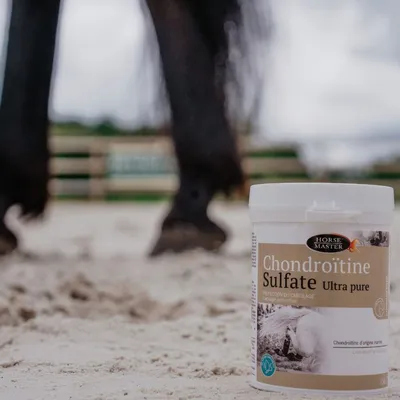 HORSE MASTER - ULTRA REINES CHONDROITINSULFAT - HORSE MASTER