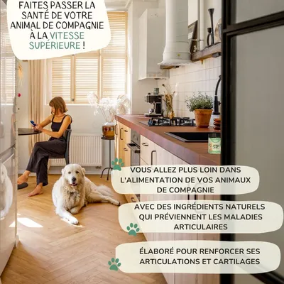 Lamina Care - Poudre de Moule Verte pour Renforcer les Articulations