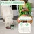 Lamina Care - Poudre de Moule Verte pour Renforcer les Articulations