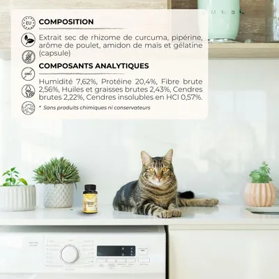 Lamina Care - Anti Inflammatoire Chien Naturel avec Curcuma et Pipérine