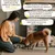 Lamina Care - Anti Inflammatoire Chien Naturel avec Curcuma et Pipérine
