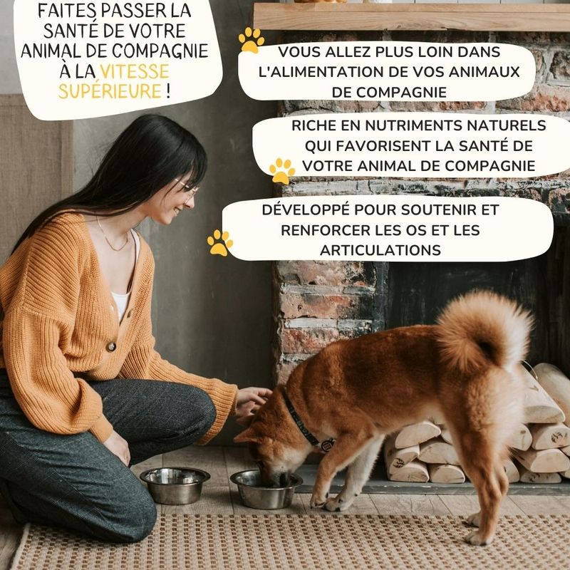 Lamina Care - Anti Inflammatoire Chien Naturel avec Curcuma et Pipérine