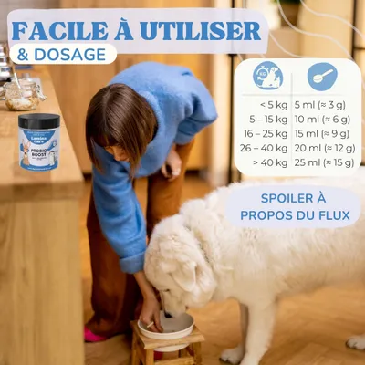 Lamina Care - Probiotique avec 1 Milliard d'UFC pour la Santé Intestinal