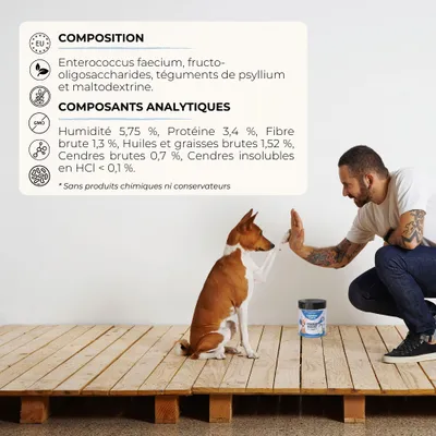 Lamina Care - Probiotique avec 1 Milliard d'UFC pour la Santé Intestinal