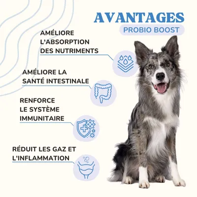 Lamina Care - Probiotique avec 1 Milliard d'UFC pour la Santé Intestinal