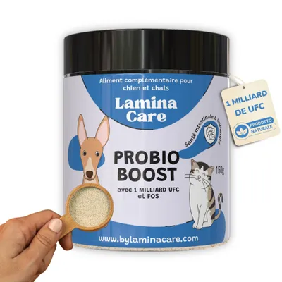 Lamina Care - Probiotique avec 1 Milliard d'UFC pour la Santé Intestinal Lamina Care - Probiotique avec 1 Milliard d'UFC pour la Santé Intestinal