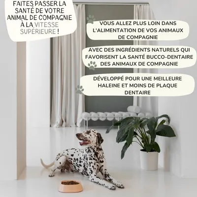 Lamina Care, Poudre Anti Mauvaise Haleine, Remède Naturel Anti Tartre Chien