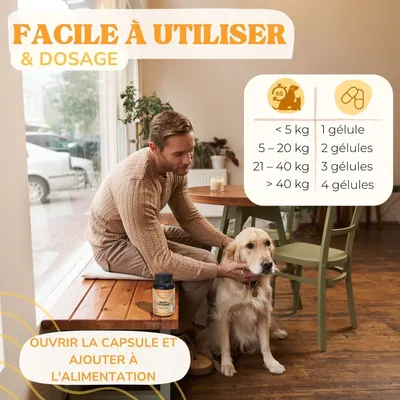 Lamina Care - Multivitamines et minéraux pour renforcer système immunitaire Lamina Care - Multivitamines et minéraux pour renforcer système immunitaire