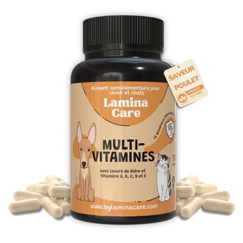 Lamina Care - Multivitamines et minéraux pour renforcer système immunitaire
