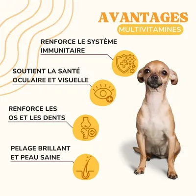 Lamina Care - Multivitamines et minéraux pour renforcer système immunitaire Lamina Care - Multivitamines et minéraux pour renforcer système immunitaire