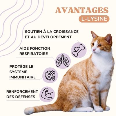 Lamina Care - Lysine Chat pour Protéger Le Système Immunitaire