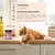 Lamina Care - Lysine Chat pour Protéger Le Système Immunitaire