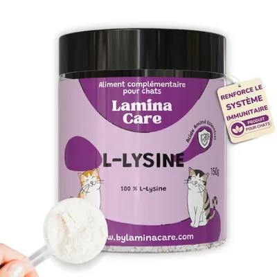 Lamina Care - Lysine Chat pour Protéger Le Système Immunitaire
