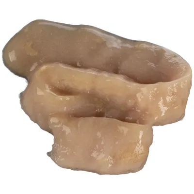 Friandises Deli Yumm Pâté avec thon et crevette 5 sticks de 14 g pour chat