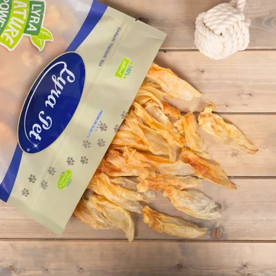 Lyra Pet® Oreilles de lapin