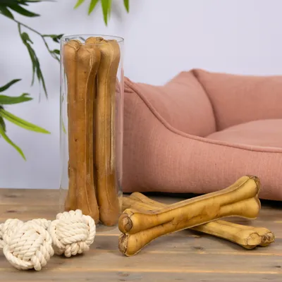 Lyra Pet® Os à mâcher env. 30 cm