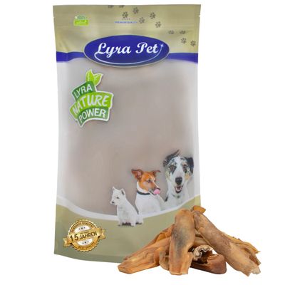 Peau de tête de bœuf Lyra Pet® brun doré foncé