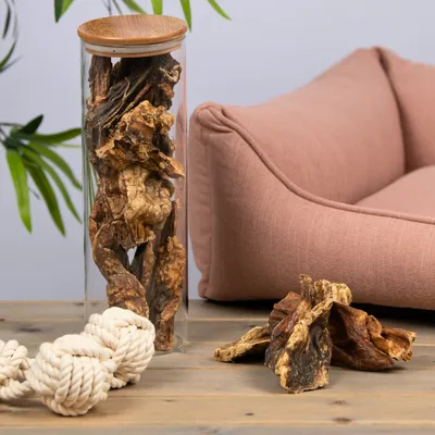 Poumon de bœuf Lyra Pet®