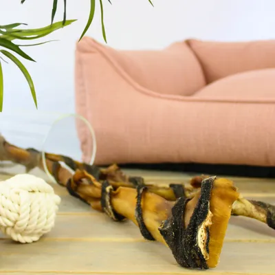 Lyra Pet® XXL barres de peau de tête de bœuf avec panse env. 70 cm