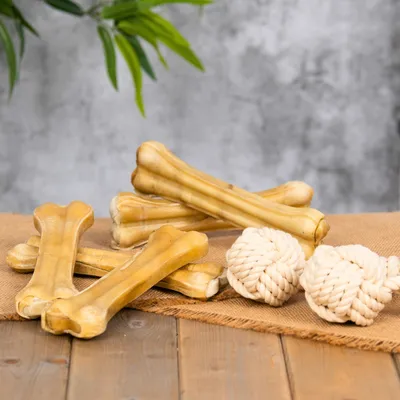 Lyra Pet® Os à mâcher env. 21 cm