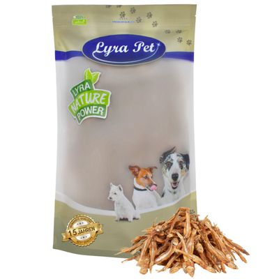 Lyra Pet petits poissons