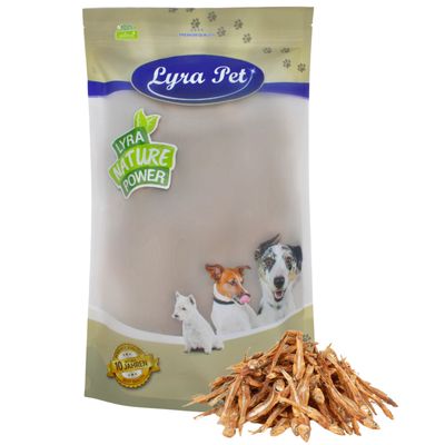 Lyra Pet Kleine Fische