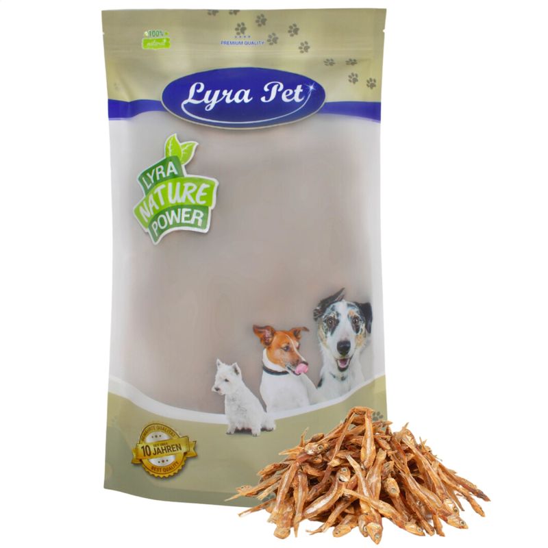 Lyra Pet Kleine Fische