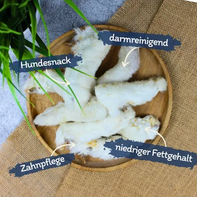 Lyra Pet® Kaninchenpfoten mit Fell