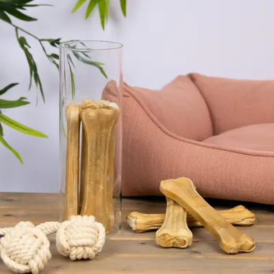 Lyra Pet® Os à mâcher env. 21 cm