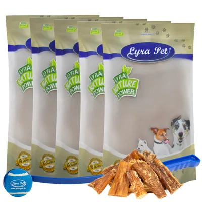 Lyra Pet® Tendons de chevreau petit